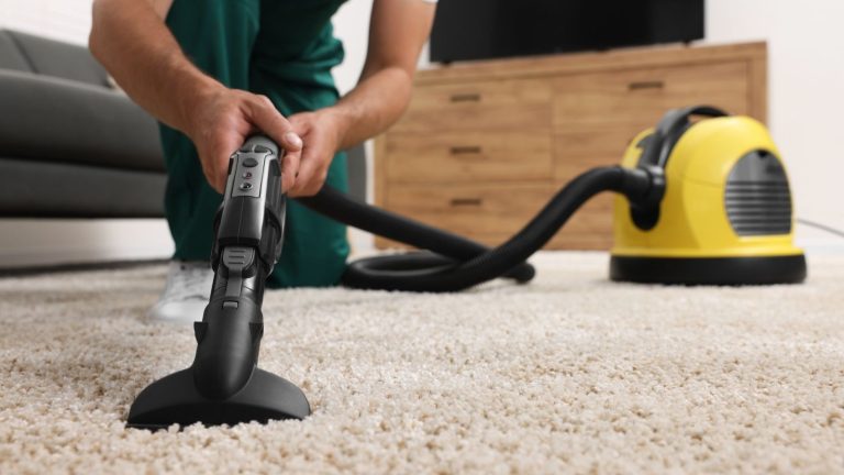 Does Vacuuming Actually Kill Ants