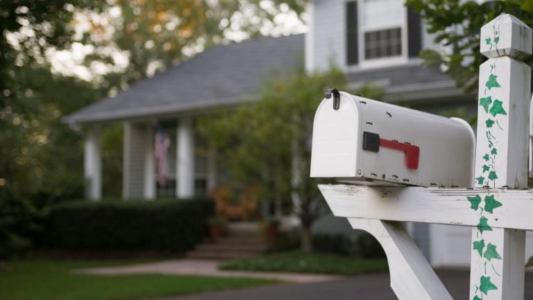 How to Get Ants Out of Your Mailbox