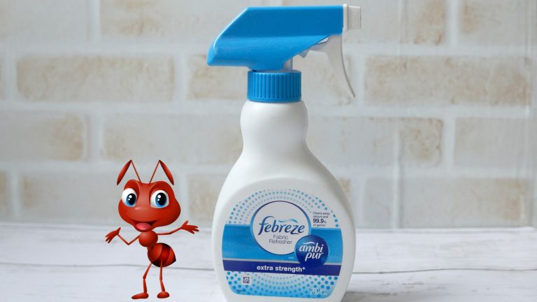Killing Ants With Febreze – Does It Actually Work?