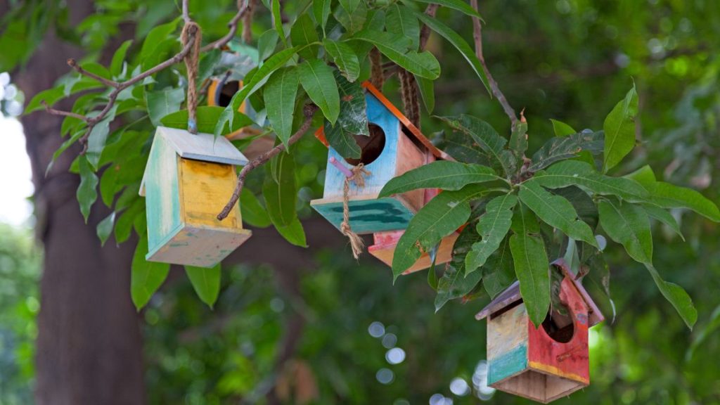 welcoming environment for birds